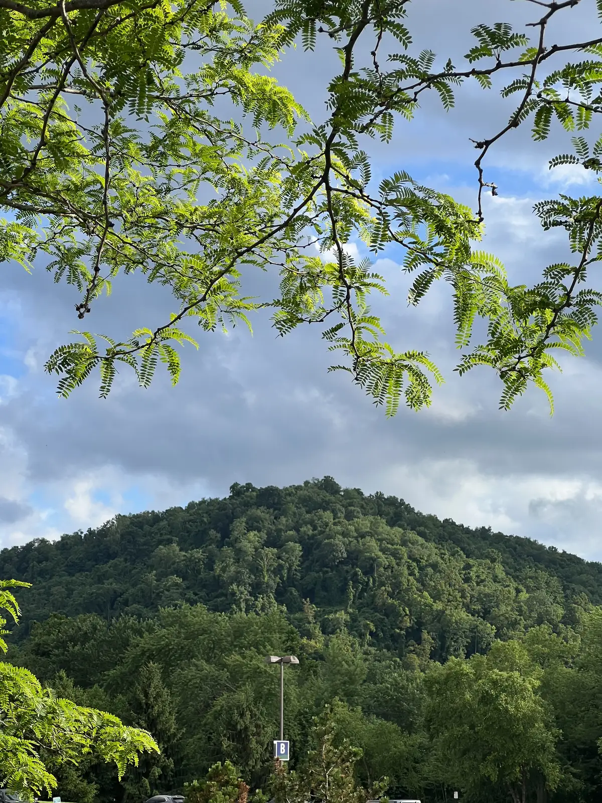Green serenity under a vast, cloud-streaked sky. Still Frame