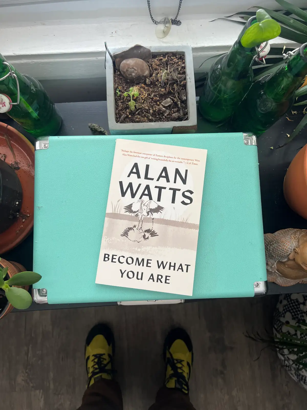 Feet grounded, mind soaring with Watts. Still Frame