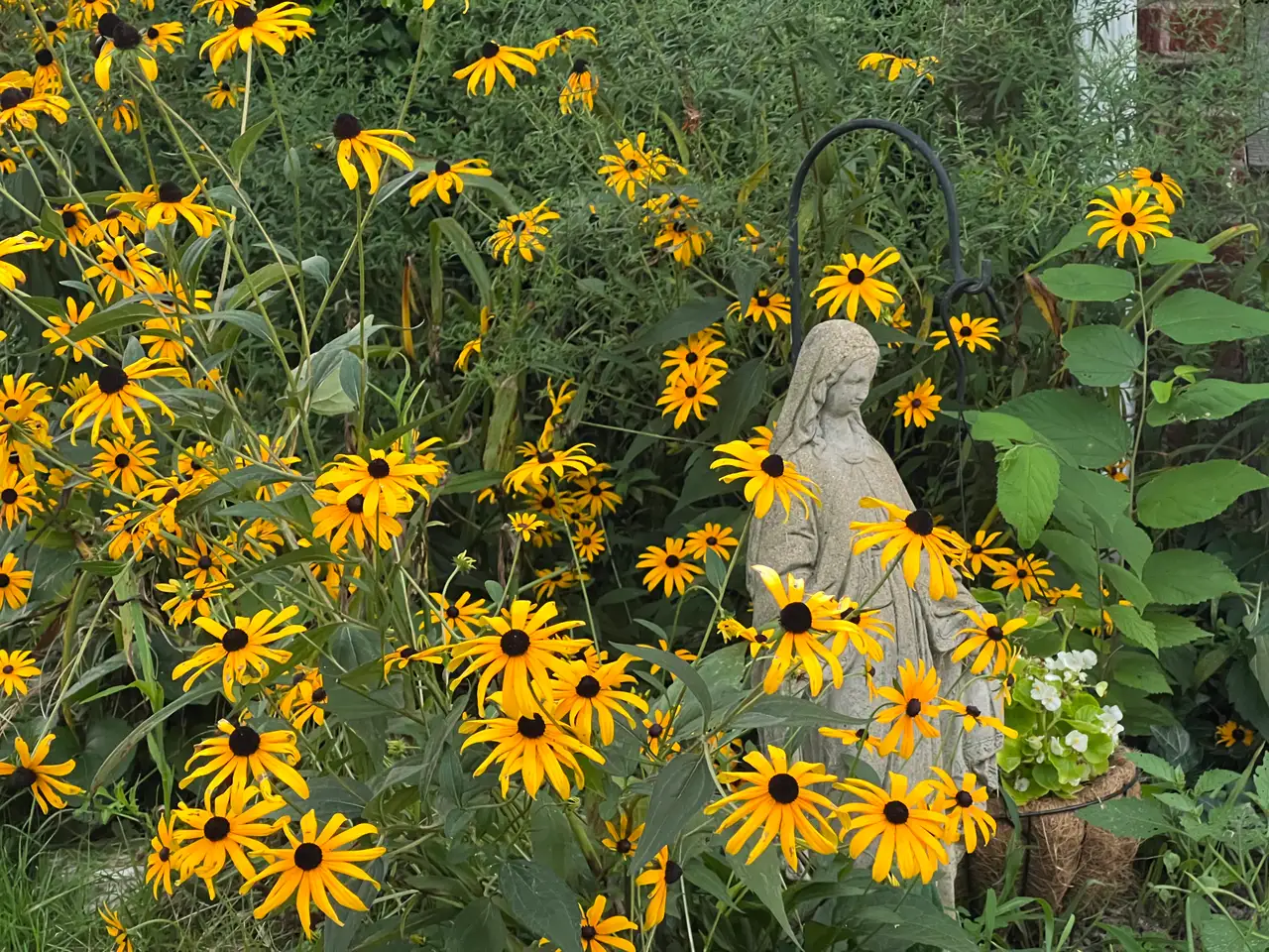 A serene guardian, blooming amidst golden sunshine. Still Frame