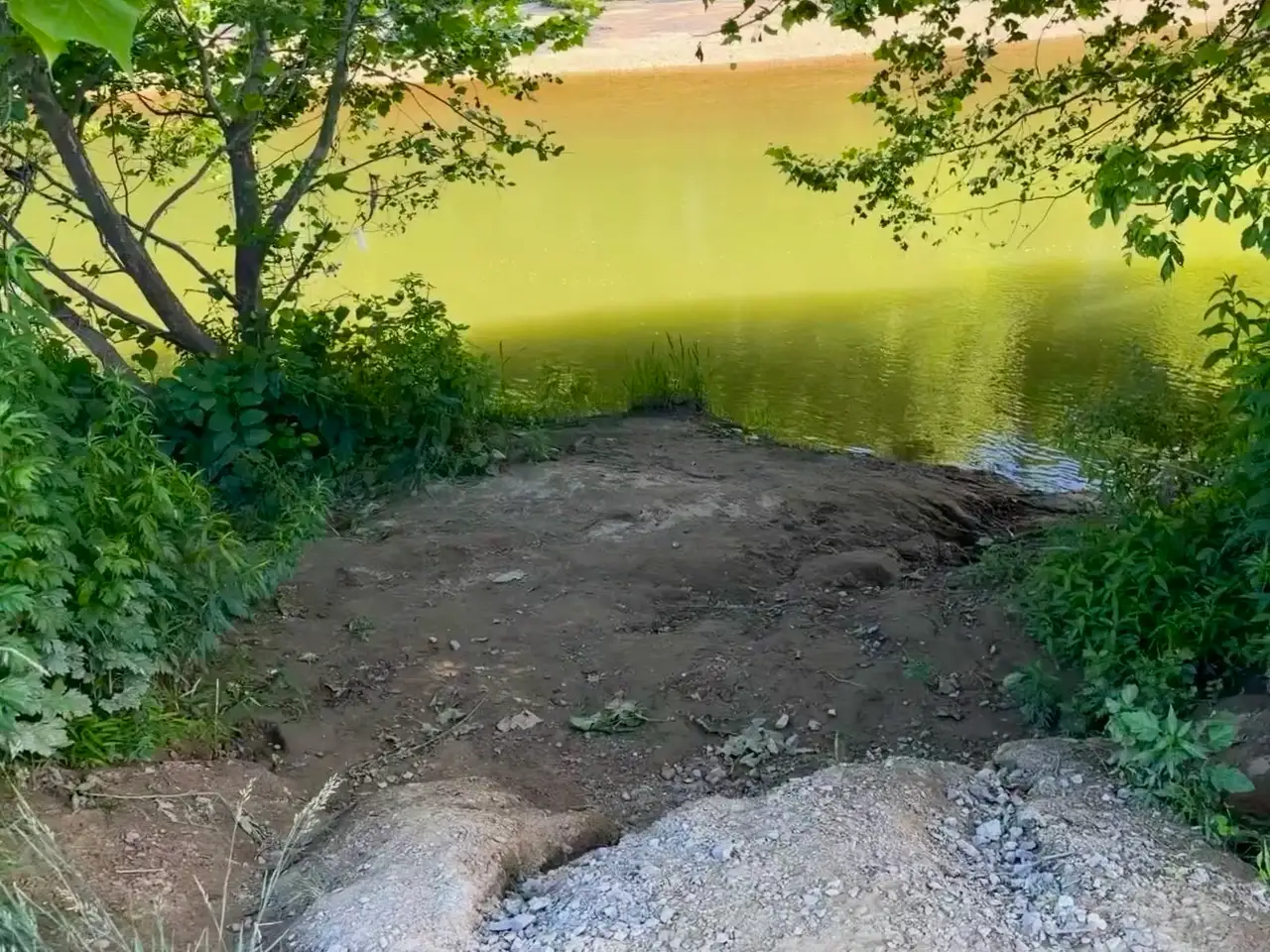 The path to an emerald-hued mystery. Still Frame