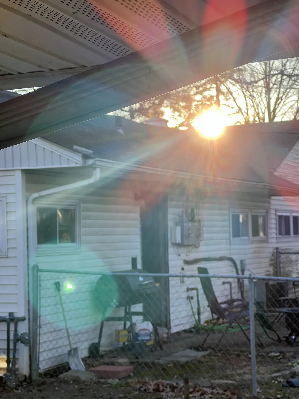 Backyard golden hour glow with a touch of lens flare magic. Still Frame