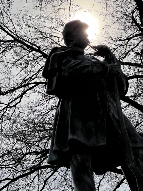 A dramatic silhouette against the sun's powerful glow.