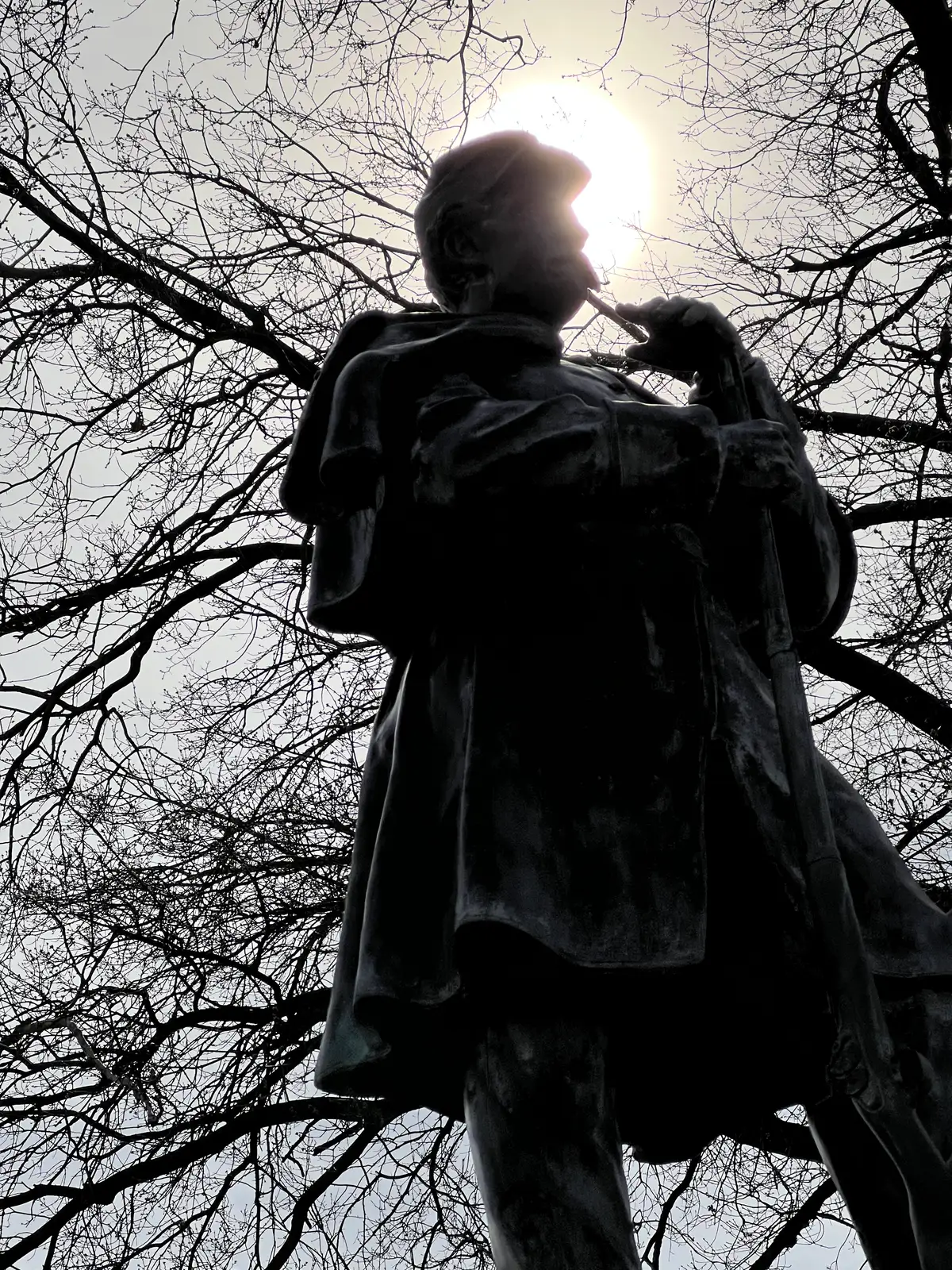 A dramatic silhouette against the sun's powerful glow. Still Frame