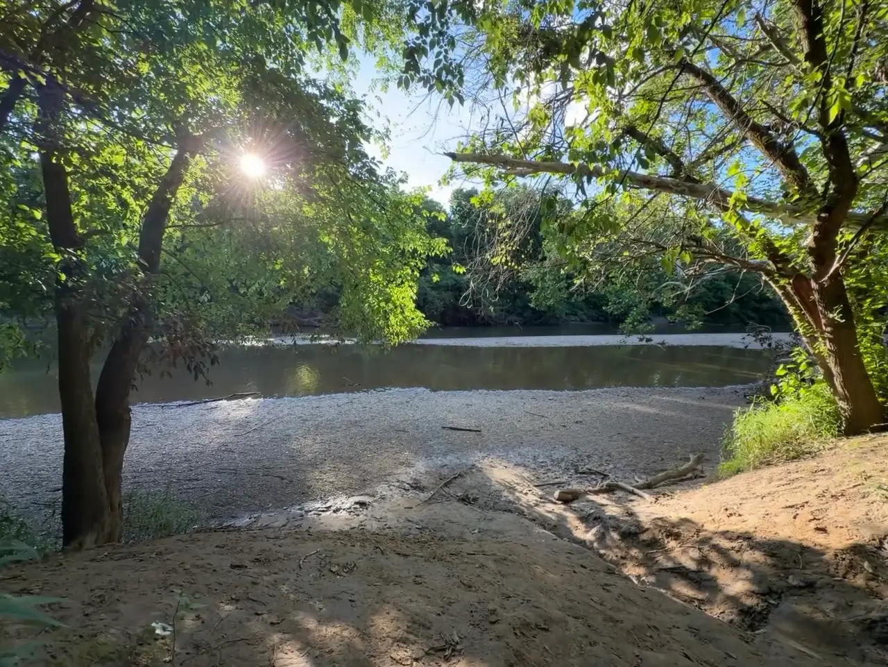 Sunlight streams through the leaves by the tranquil river. Still Frame